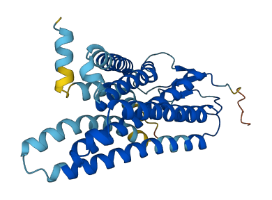 OR10G2 3D structure
