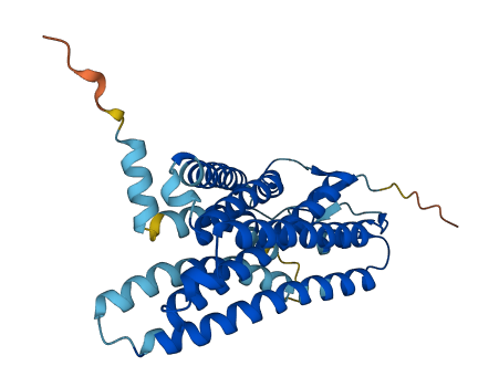OR10G3 3D structure
