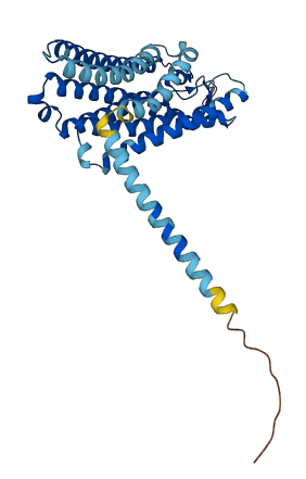 OR6J1 3D structure