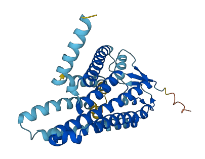 OR4K17 3D structure