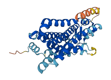 OR11H6 3D structure