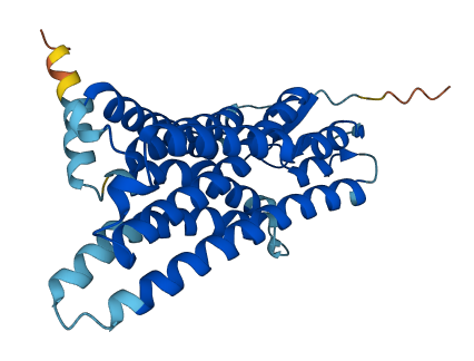 OR11H7 3D structure
