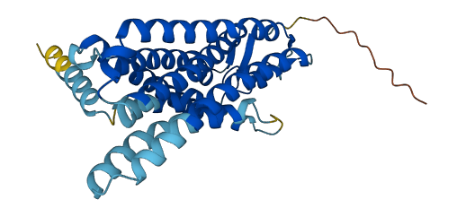 OR11H4 3D structure