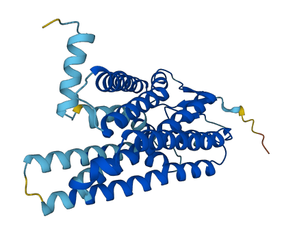 OR4M1 3D structure