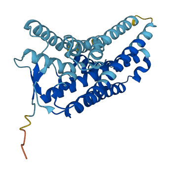 OR4N2 3D structure