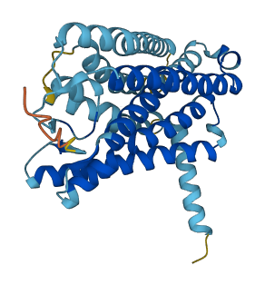 OR4K2 3D structure