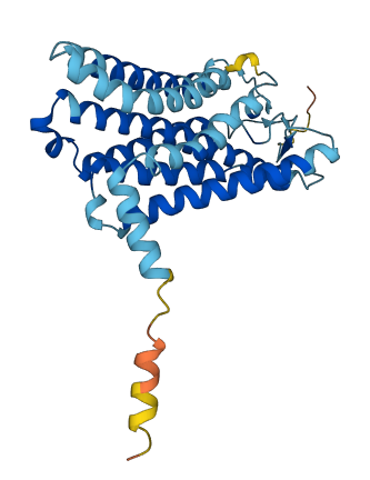 OR4K5 3D structure