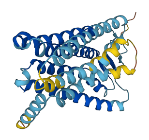 OR4K14 3D structure
