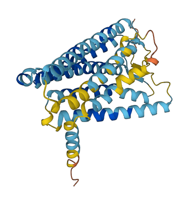 OR10AD1 3D structure