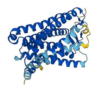 OR2AP1 3D structure