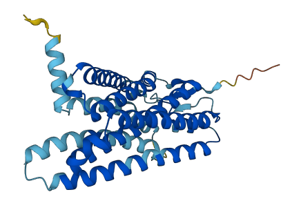 OR10P1 3D structure