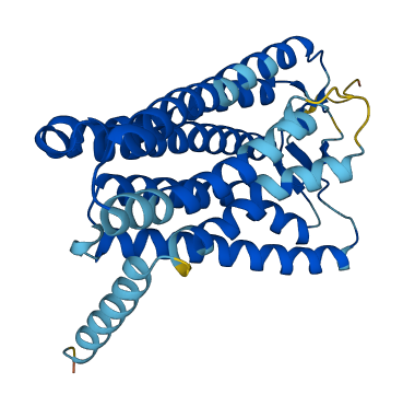 OR10A7 3D structure