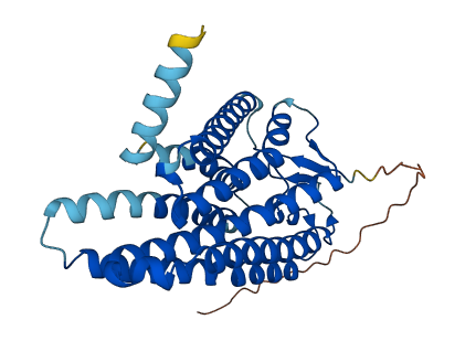 OR9K2 3D structure