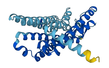 OR4D9 3D structure