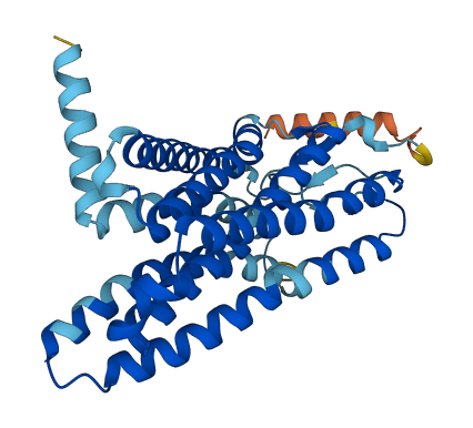 OR52B6 3D structure