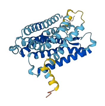 OR52R1 3D structure