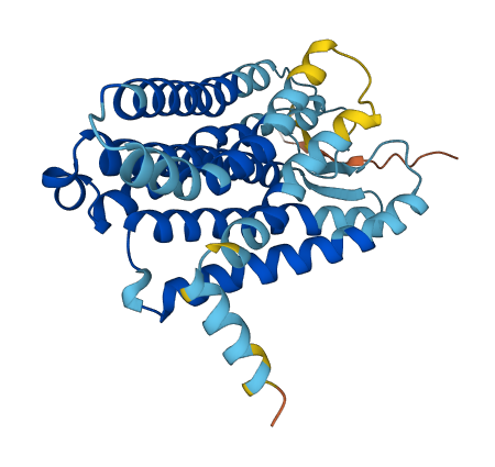 OR51D1 3D structure