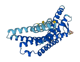 OR5AP2 3D structure