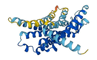 OR5B17 3D structure