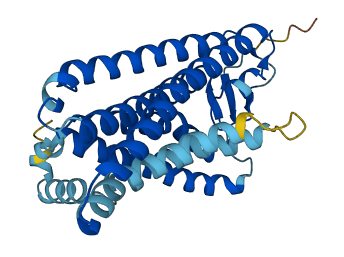 OR8J2 3D structure