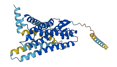 OR5T3 3D structure