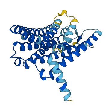 OR8H1 3D structure