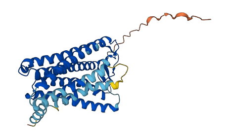 OR8A1 3D structure
