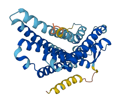 OR52L2P 3D structure