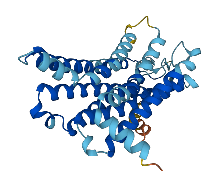 OR52L1 3D structure