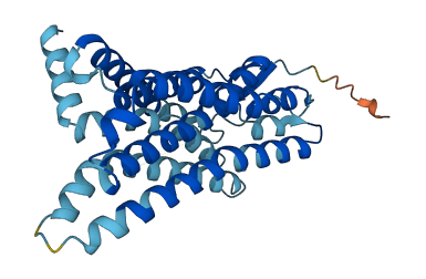 OR56A4 3D structure