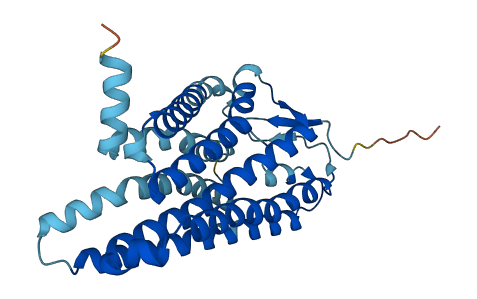 OR52E4 3D structure