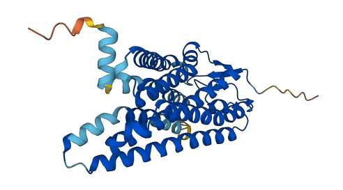 OR52N2 3D structure