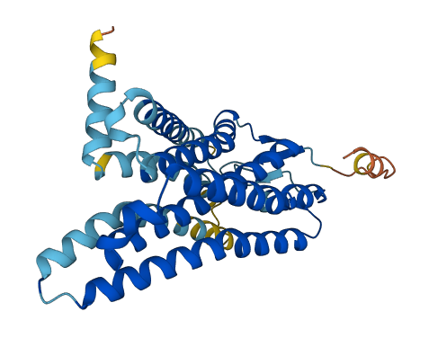 OR56B2P 3D structure