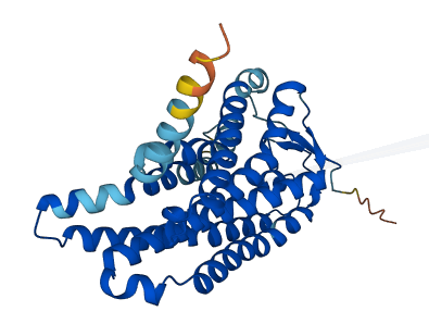 OR52N4 3D structure