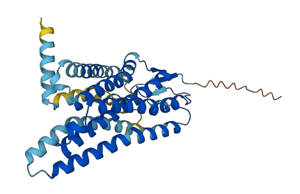 OR56B1 3D structure