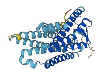 OR4D11 3D structure