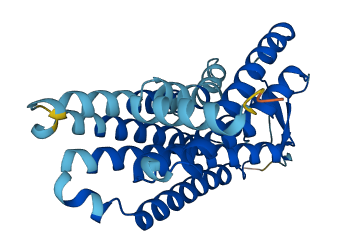OR4D10 3D structure