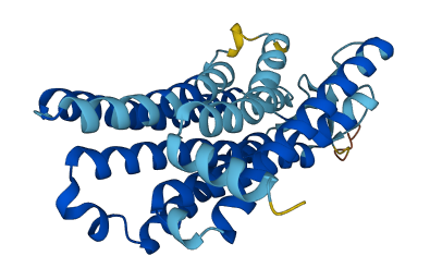 OR10V1 3D structure