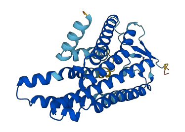 OR5AN1 3D structure
