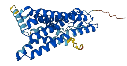 OR5A1 3D structure