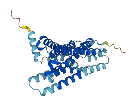 OR4D6 3D structure