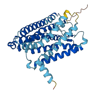 OR52H1 3D structure