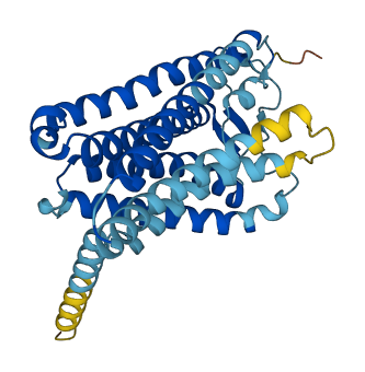 OR52E2 3D structure