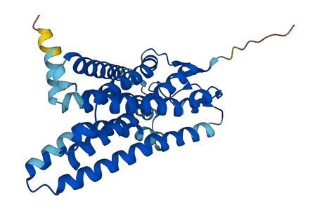 OR51L1 3D structure