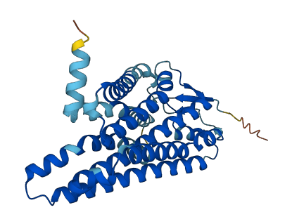 OR51A4 3D structure