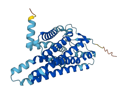 OR51A2 3D structure