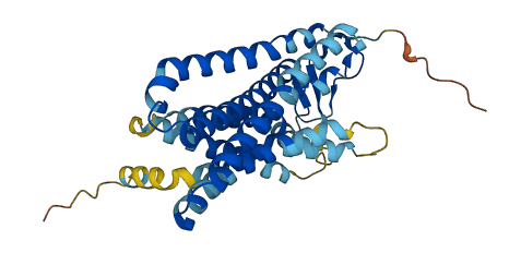 OR51S1 3D structure