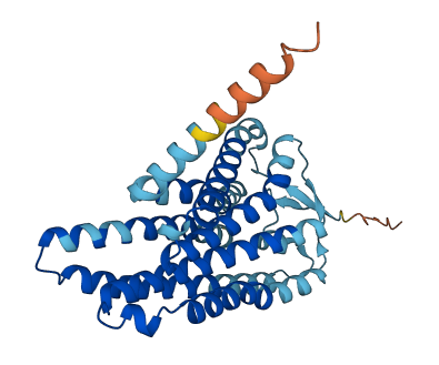 OR51T1 3D structure