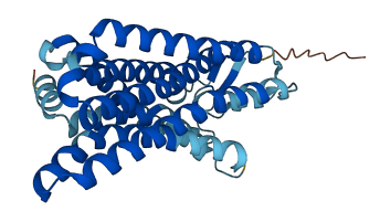 OR51G2 3D structure