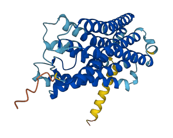 OR51G1 3D structure